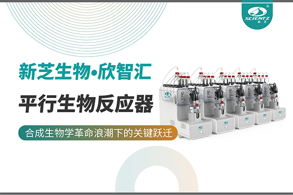 培養(yǎng)菌株和評估工藝參數(shù)影響太難太慢？平行生物反應器提供關(guān)鍵解決方案！