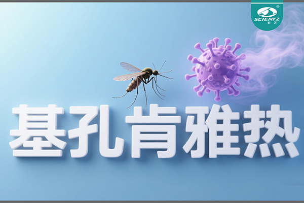 基孔肯雅熱疫情升級！新芝生物硬核技術助力病毒精準診斷